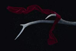 Roter Schal auf dunklem Hintergrund
